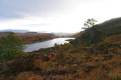 EHG4877_14.JPG