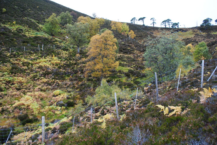 EHG4877_17.JPG