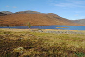 EHG4877_68.JPG