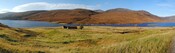 EHG4877_70.jpg