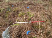 MHG57286_02.JPG