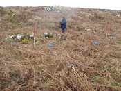 MHG57286_04.JPG