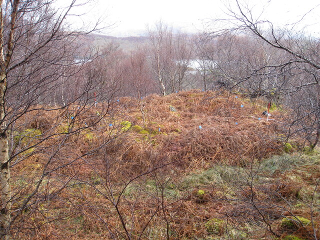 MHG8286_01.JPG