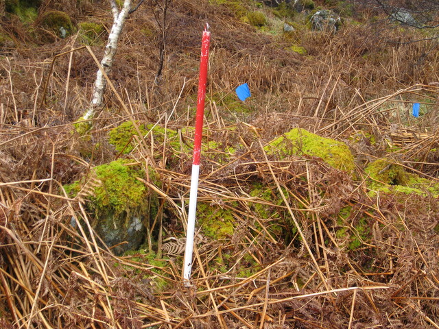 MHG8286_03.JPG