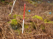MHG8286_03.JPG
