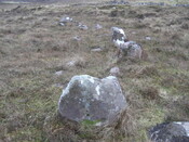 MHG26113_04.JPG