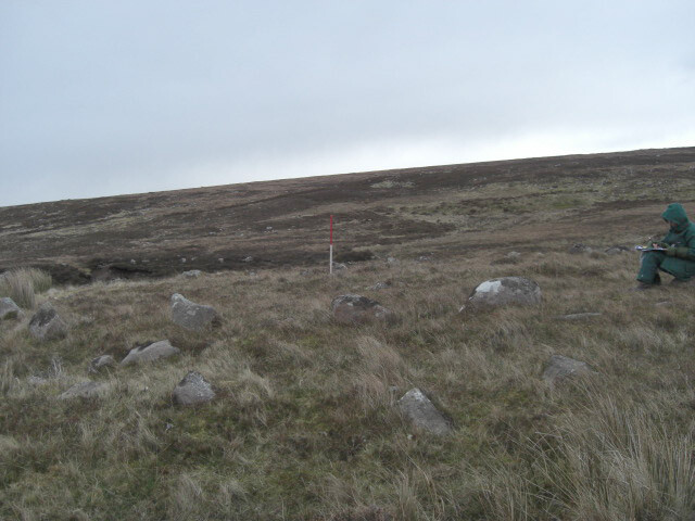 MHG26113_05.JPG