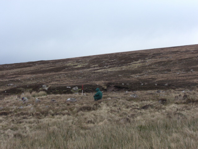 MHG26113_06.JPG