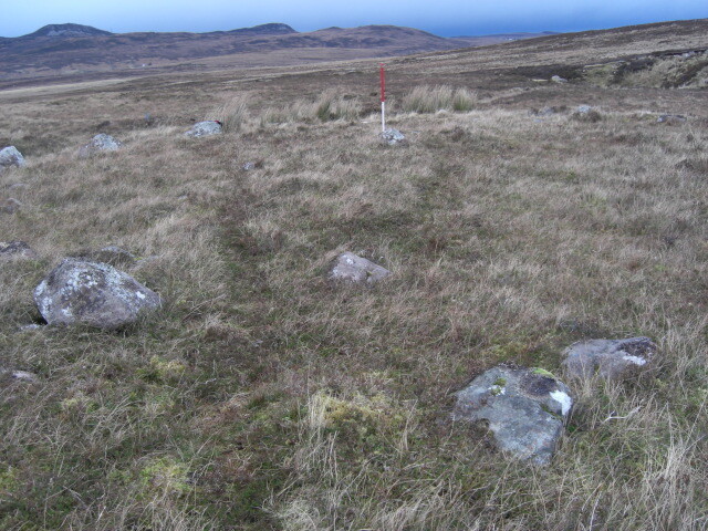 MHG26113_07.JPG