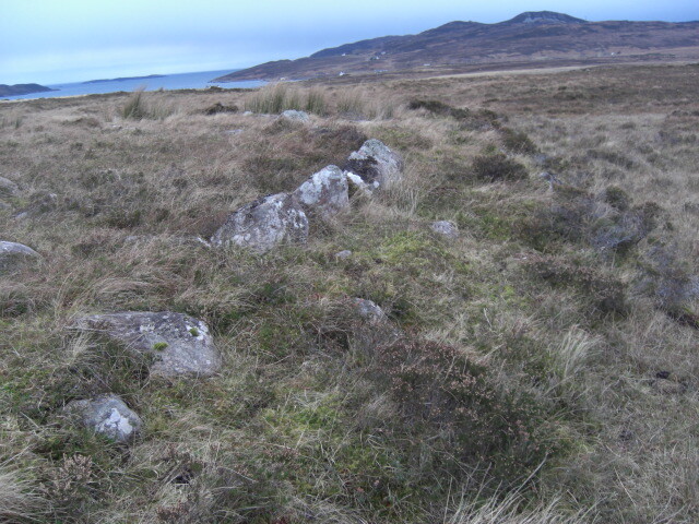 MHG26113_08.JPG
