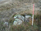 MHG28986_01.JPG