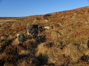 MHG57799_01.JPG