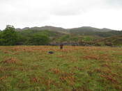 MHG60415_02.JPG