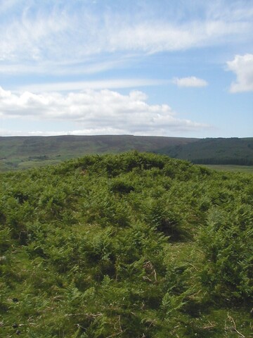 NC50NE0034HAW1.JPG