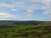 NC50NE0034HAW2.JPG