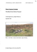 1166.Braes Common Grazings WGS.PDF